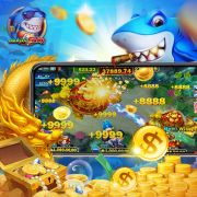 24bet