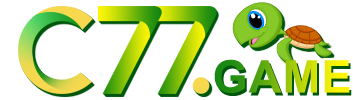 Serie b de 2024 - Sambapg
